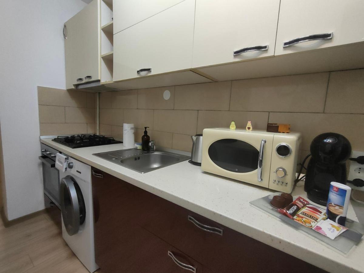 Vania Studio Appartement Sibiu Buitenkant foto